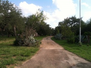 Driveway to the  Lasater Ranch with brush surrounding on both sides