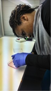 Team member Cheneta doing DNA lab work