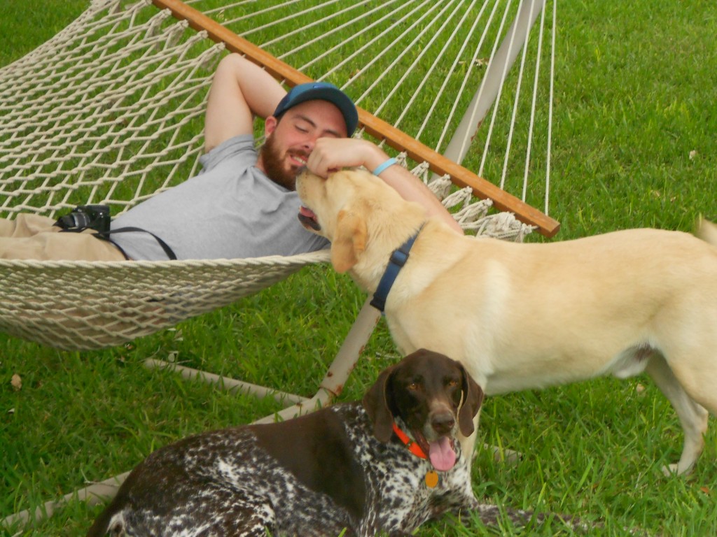 Ryan lays in a hammock with a yellow dog and a brown and white dog by his side
