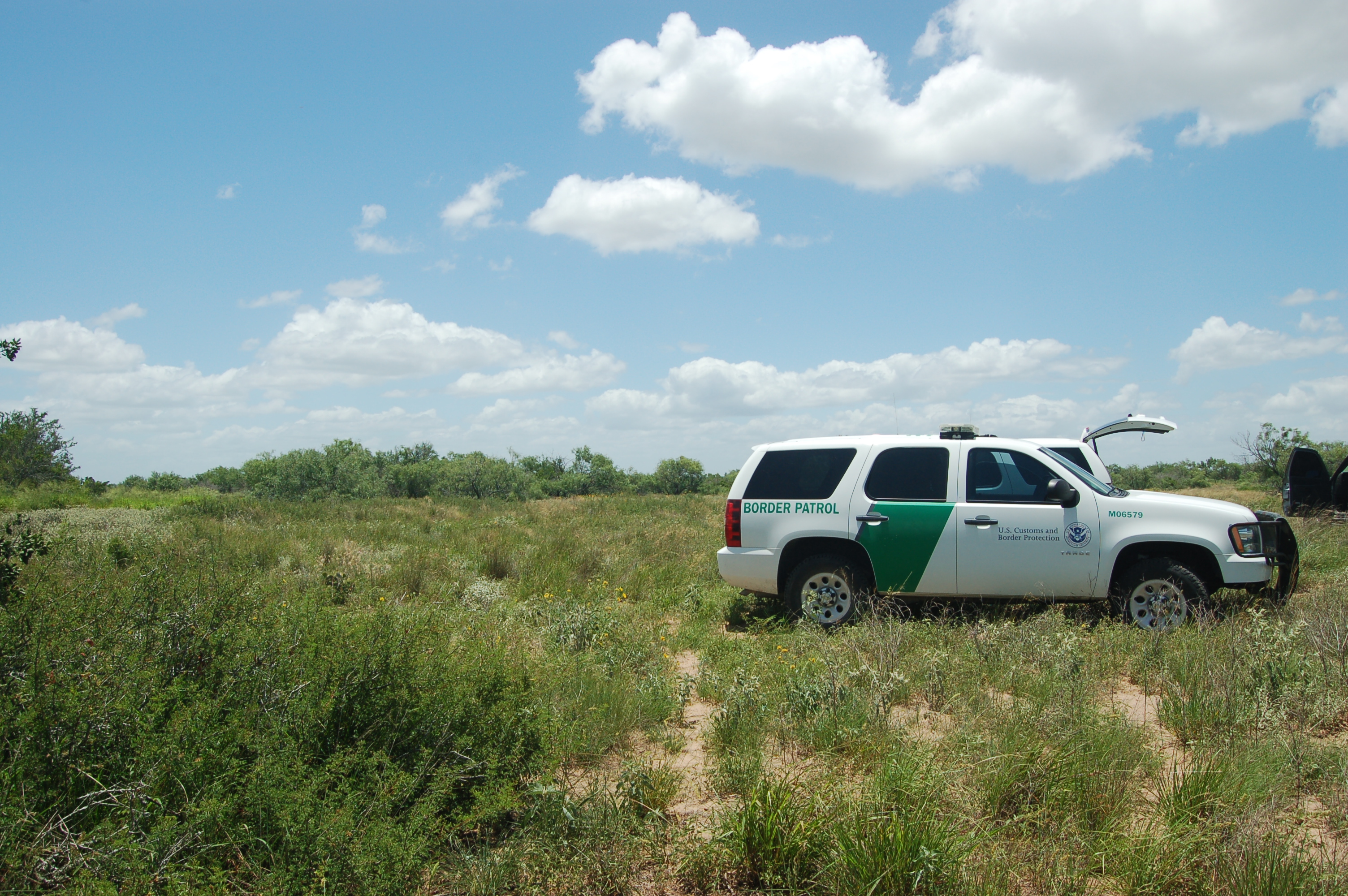 Green and white border patrol vehicle in the brush