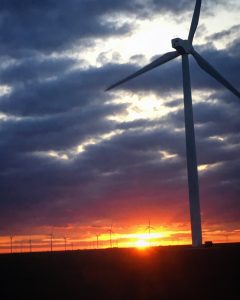 Every drive to our site starts with the gorgeous Texas sunrise