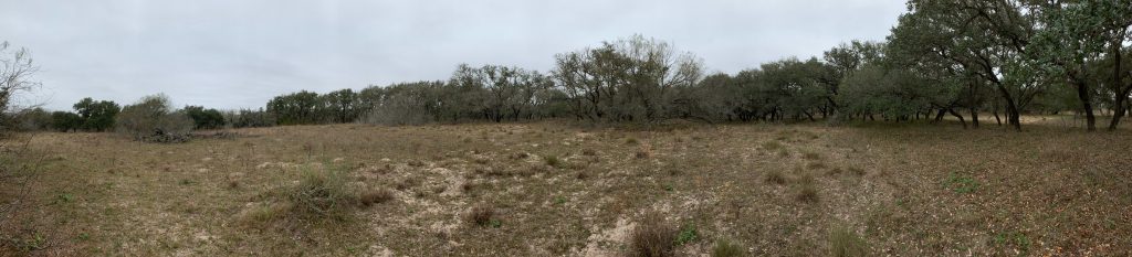 A panorama of my view while searching, not able to see my team.