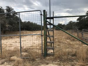 Ladder against a fence