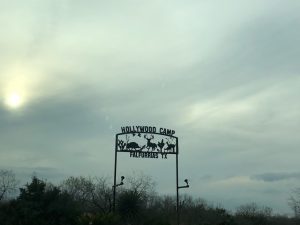 Sign that reads "Hollywood Camp Falfurrias, TX"