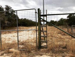 Ladder against a fence on a ranch