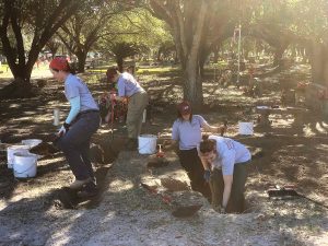 Team members digging in the cemetery