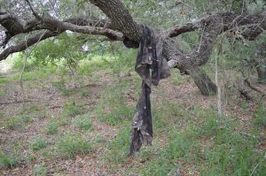 Clothing left behind by border crossers