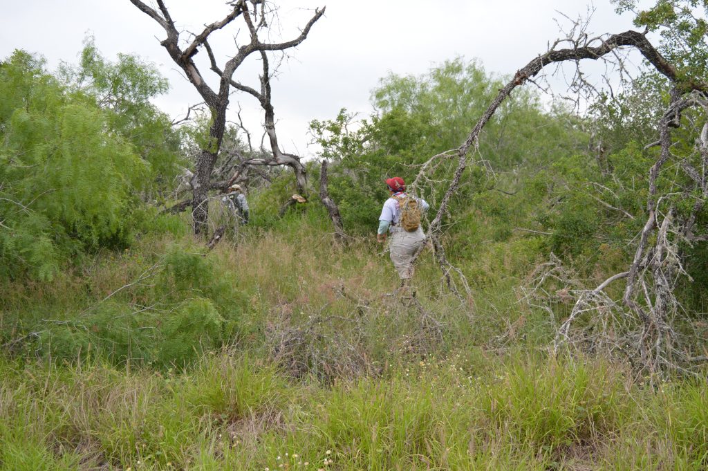 Team member in the brush