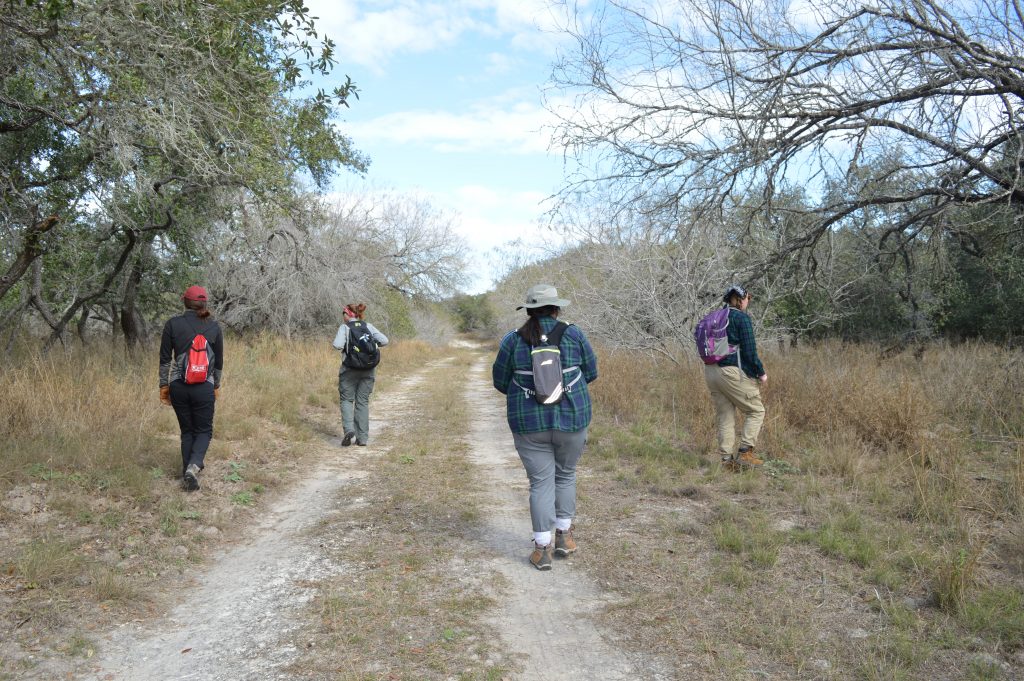 Team members searching the brush