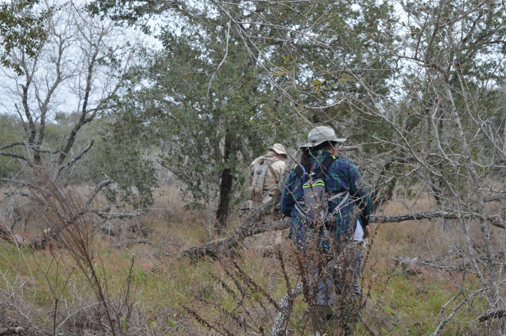 Team members in the brush
