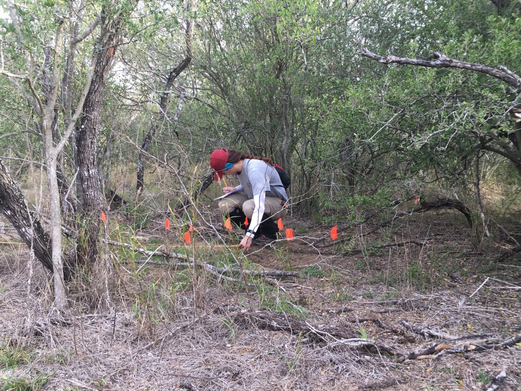 Sammi taking measurements for mapping