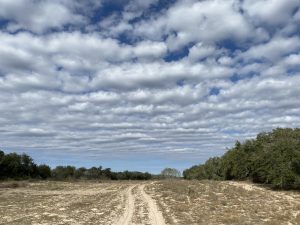 Texas sky