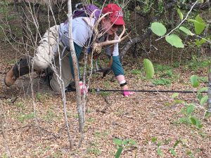 Me, quite literally, stuck in the brush