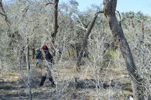 Sammi, Tanya, Sidney and Dr. Latham in the brush