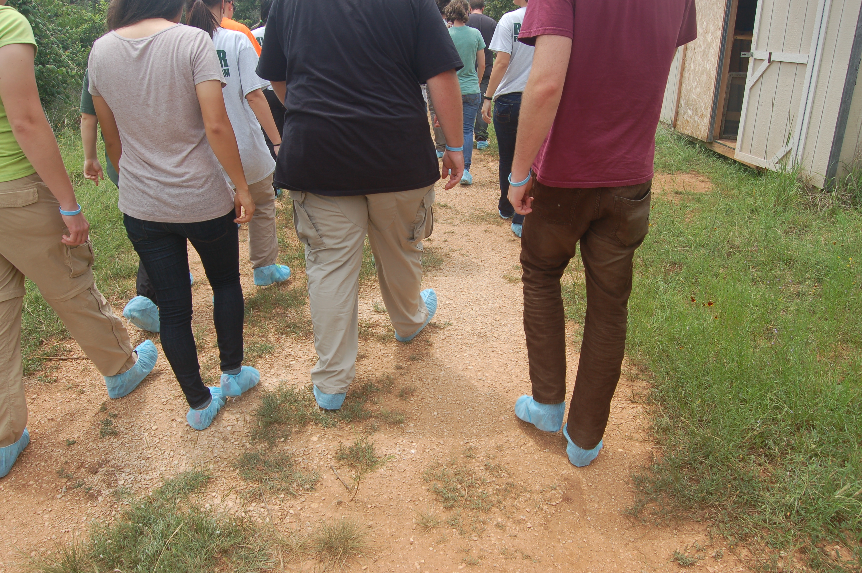 Shoulders down of the group walking away with blue booties around their shoes 