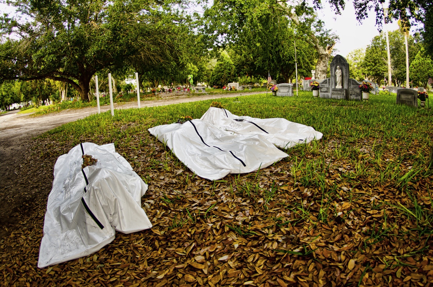 3 white body bags laid out on a grassy, leaf-filled area