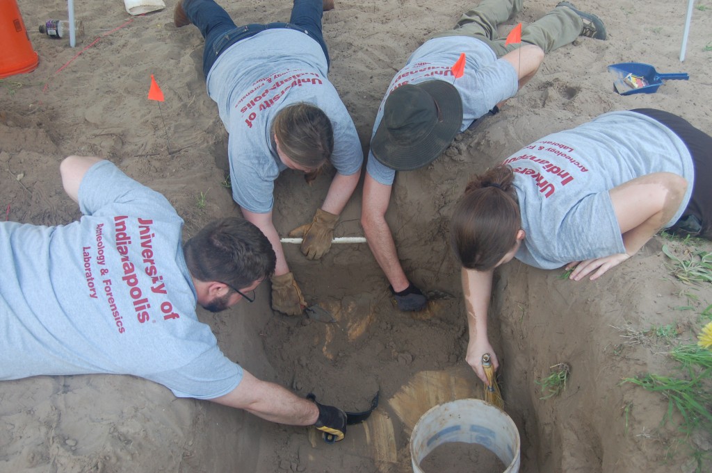 Beyond borders members with trowels and other tools reaching into a burial from where they lay on the ground surface.