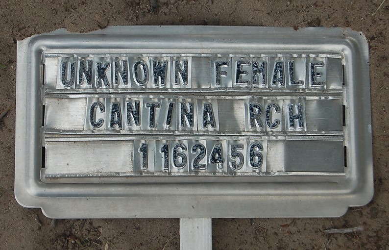 Metal burial marker stating "Unknown Female Cantina RCH 1162456"
