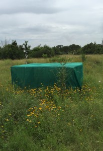 Green mesh cage outside in a field