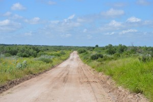 A dirt road surrounded by greenery with blue skies