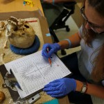 Dr. Latham analyzing a skull in the lab.