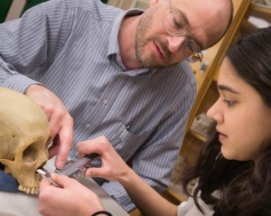 Dr. Nawrocki and graduate student Amanda Khan taking measurements from a human cranium with sliding calipers