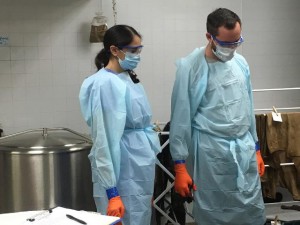 Beyond Borders Team members in masks, gowns, and gloves prepared for processing