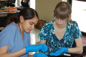 Beyond Borders team members performing skeletal analysis