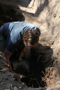 A person excavating a burial