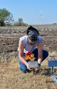 A team member placing flowers on burial markers.