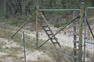 Two wooden ladders along one segment of fencing on North La Copa Ranch