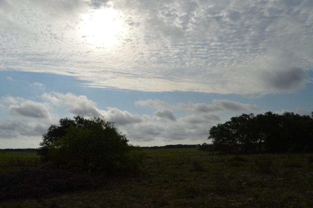 Sunrise on Cage Ranch