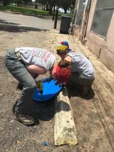 Preparing new water stations at the STHRC