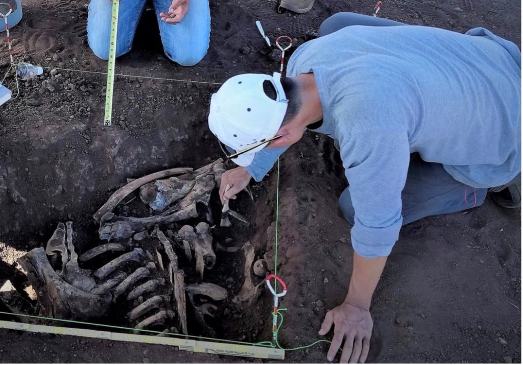 a man digging bones from the ground