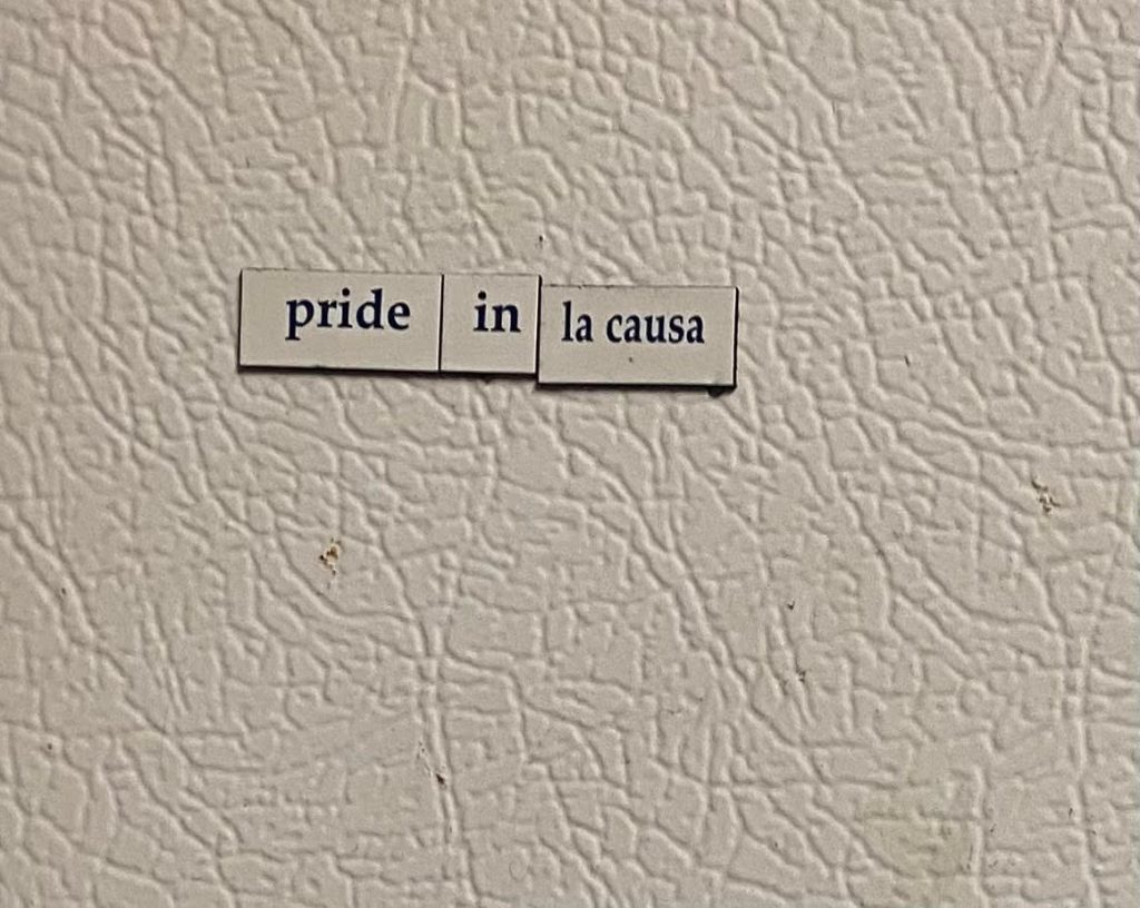 Refrigerator Word Magnets Saying "Pride in the Cause"