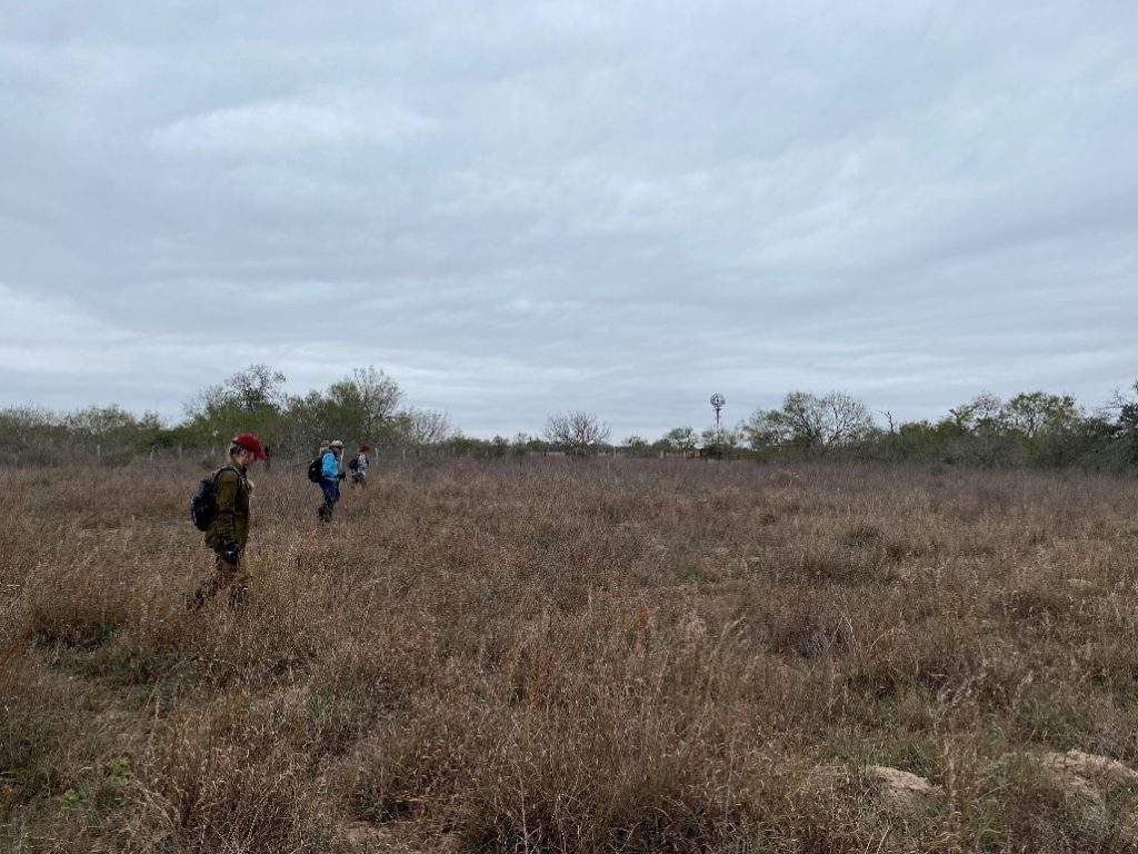 Team members performing a line search