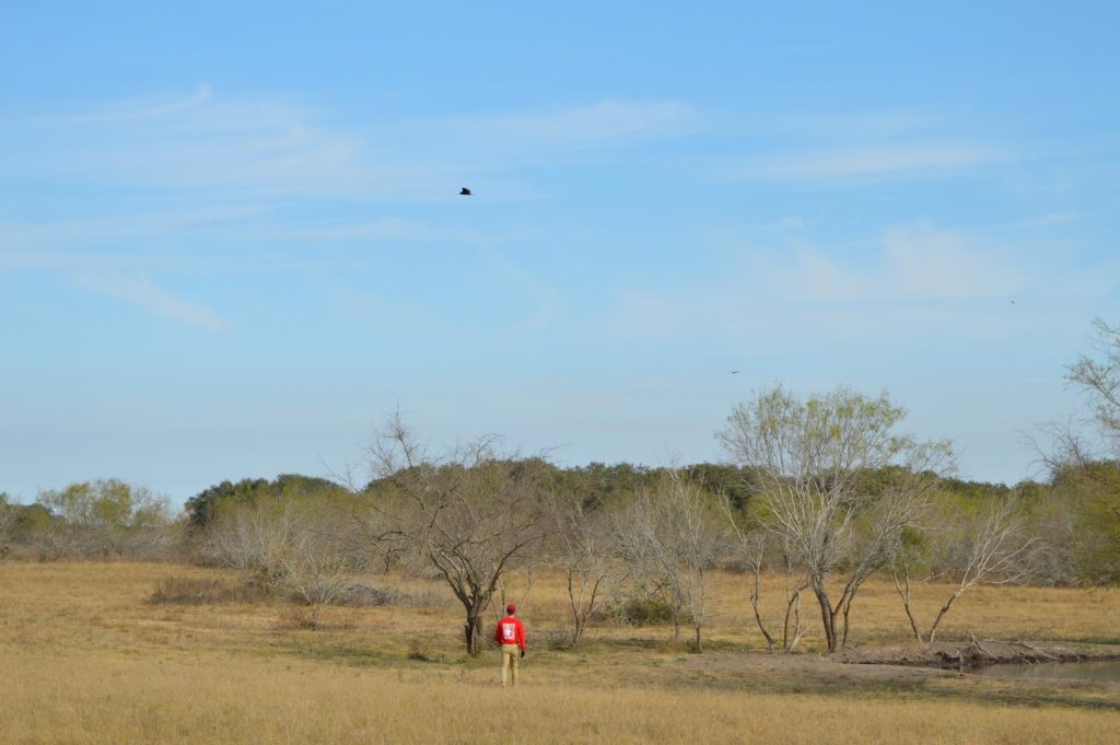 Team Member searching on a ranch