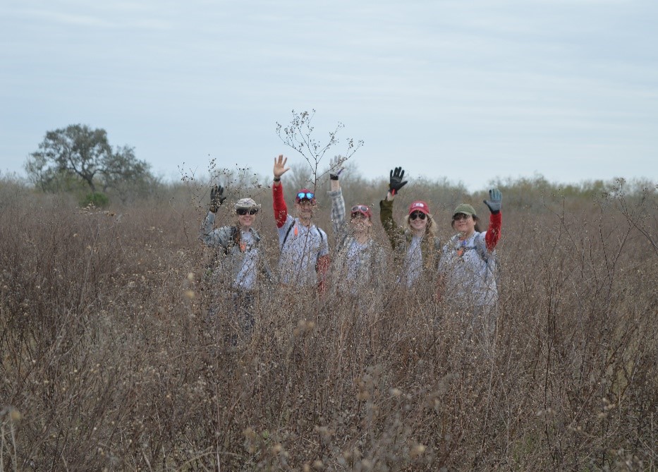 Team members behind some tall grass