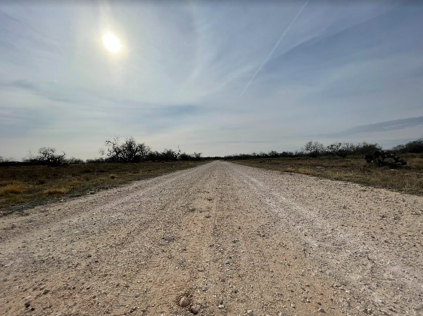 A road on a Texas ranch