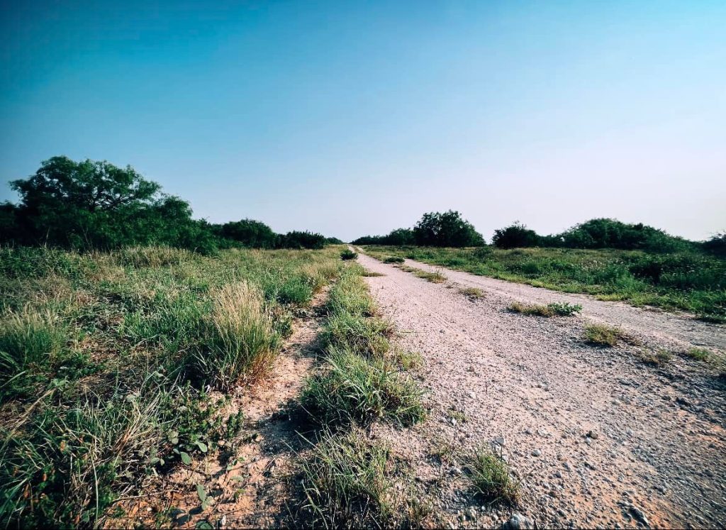 A country road in South TX