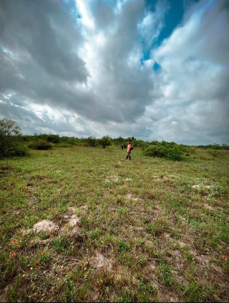 Team members searching the brush in south TX