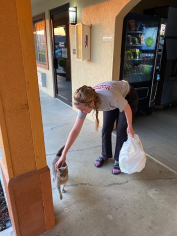 Olivia petting Dusty, the cat at the hotel