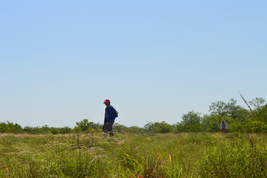 Team members searching the brush