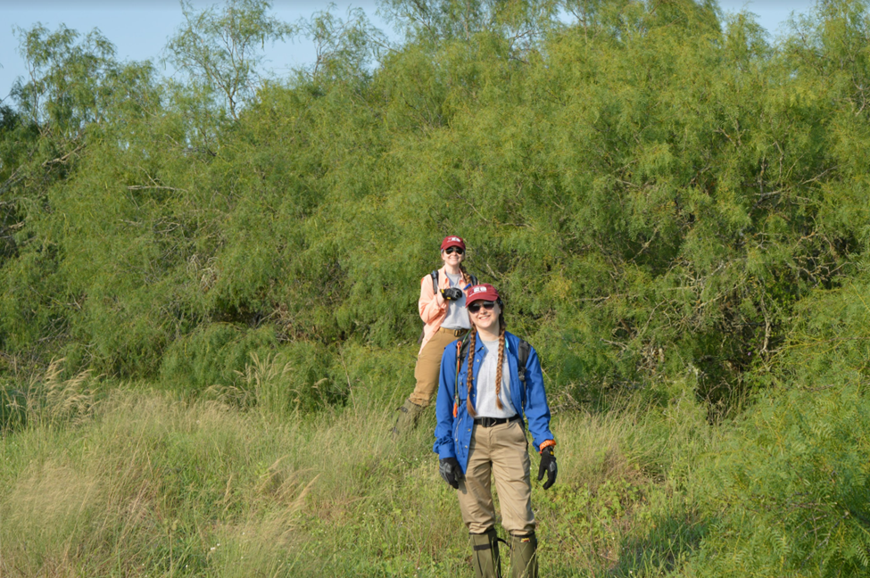 Two team members in the brush