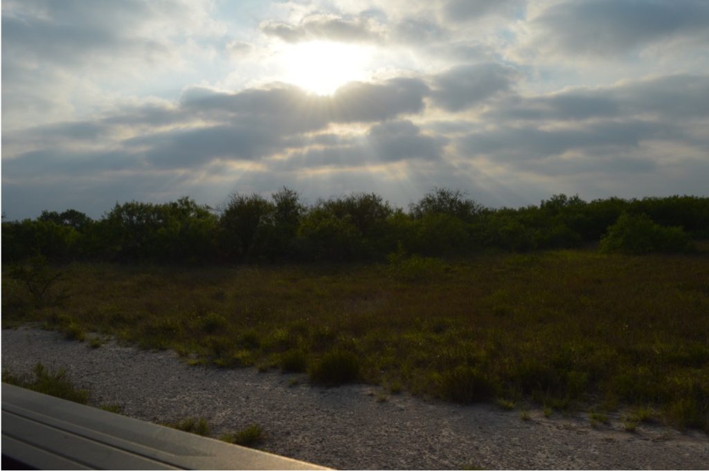 The sun shining through the clouds and some trees on a ranch