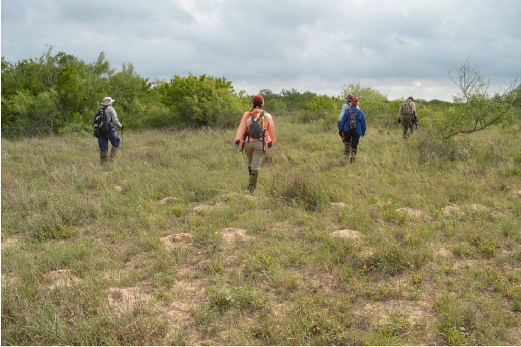 Team members beginning a search