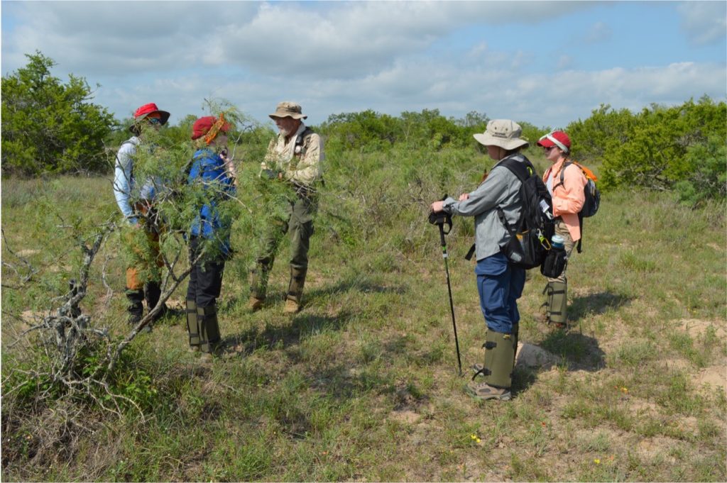 Team members taking a break in the brush