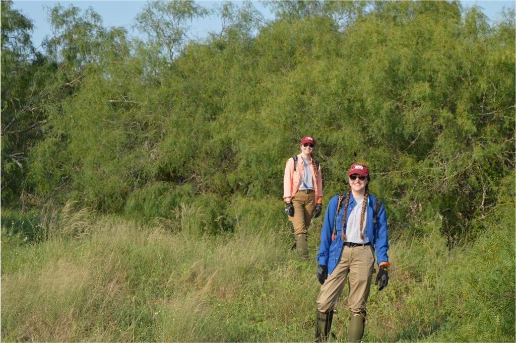 Team members on a search