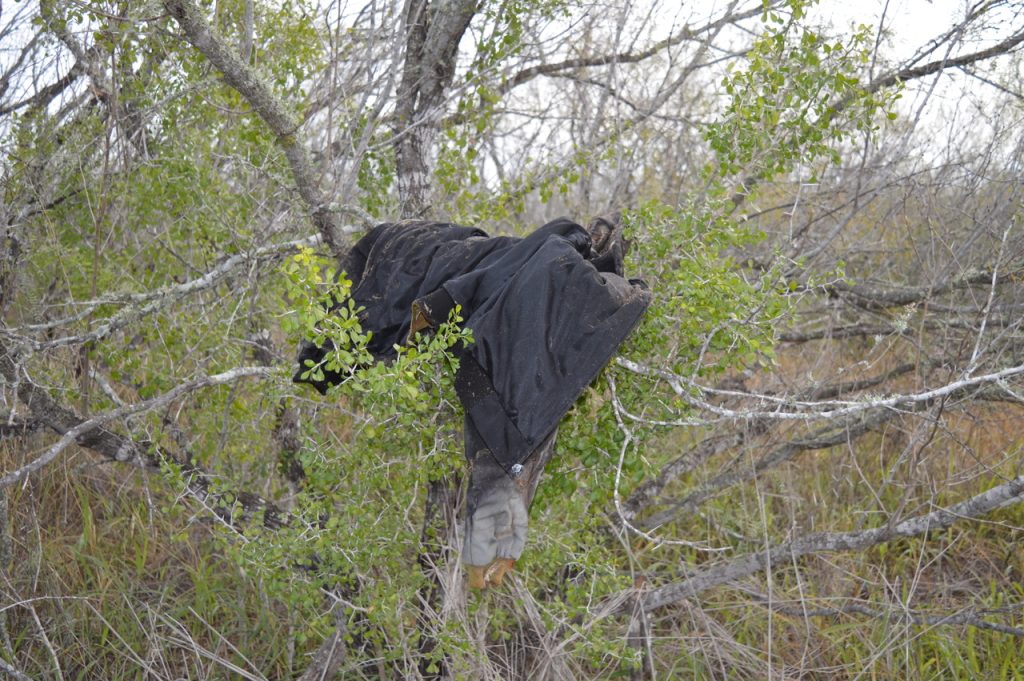 A black jacket hanging on the branch of a tree