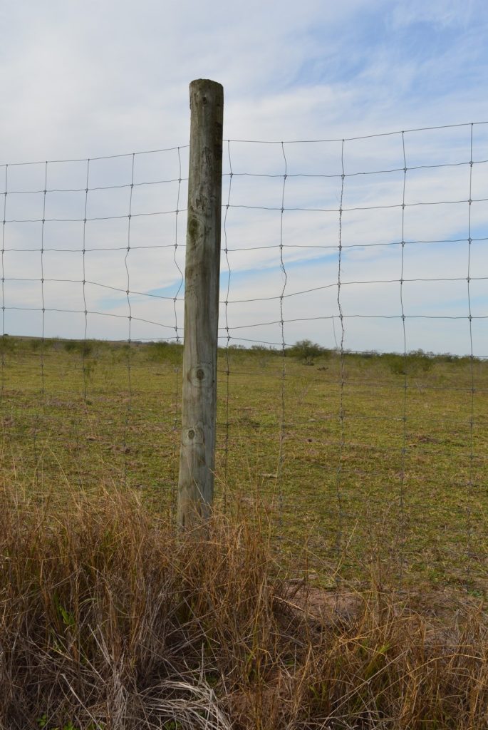 Tall game fence on a ranch damaged from migrants climbing and bending the wires.